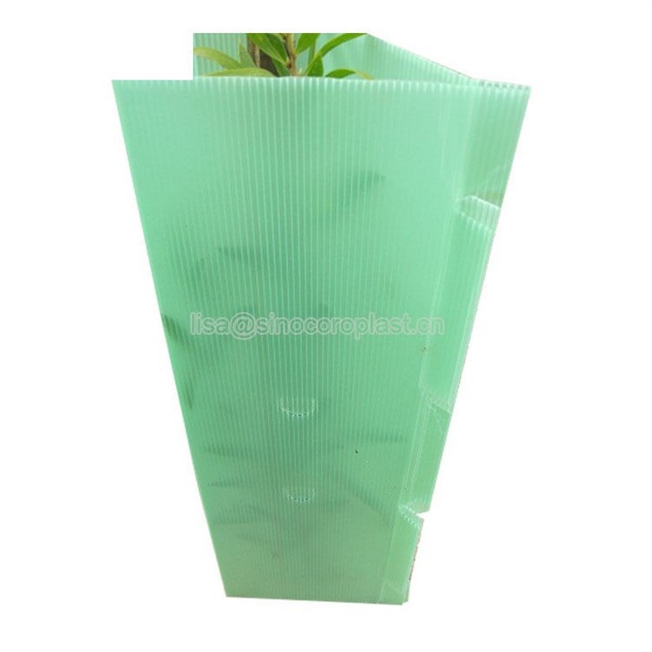 Plastic Corflute Tree Guards Plant Protection