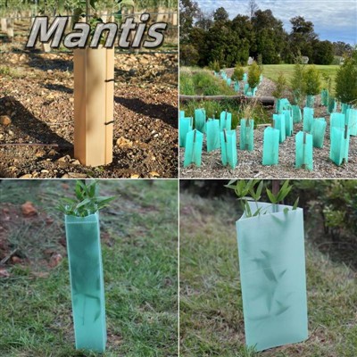 Mantis plastični čuvar stabla - zeleni staratelj za zaštitu drveta