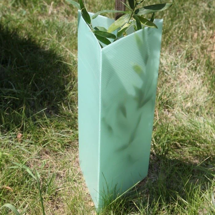 PP Tree Guard
