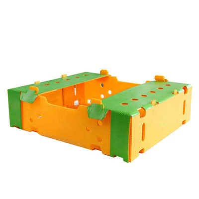 PP valovite plastične kutije za povrće