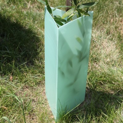 PP plastični štitnik za stablo korfluta